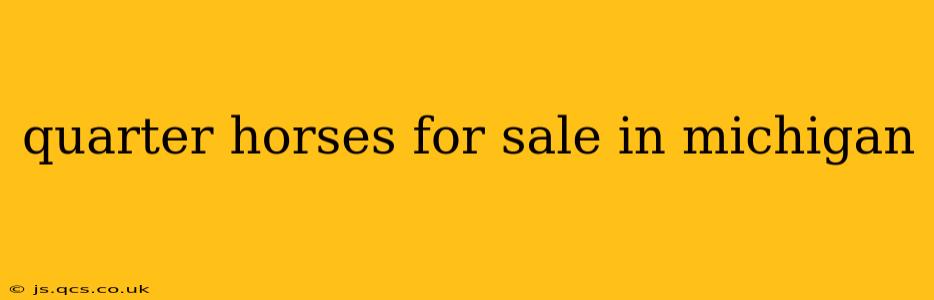 quarter horses for sale in michigan