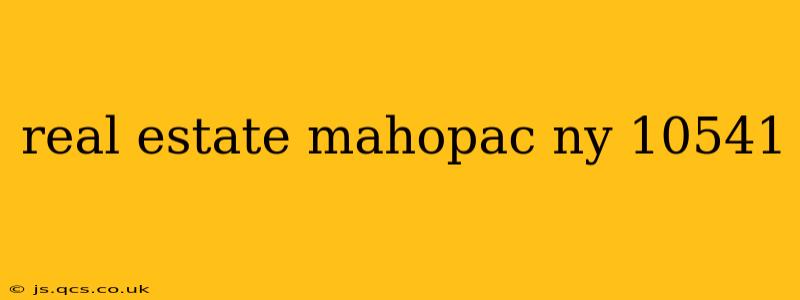 real estate mahopac ny 10541
