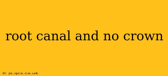 root canal and no crown