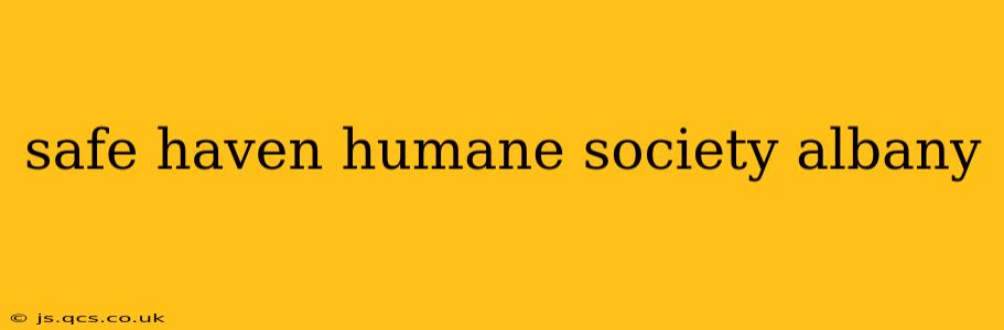 safe haven humane society albany