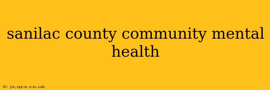 sanilac county community mental health