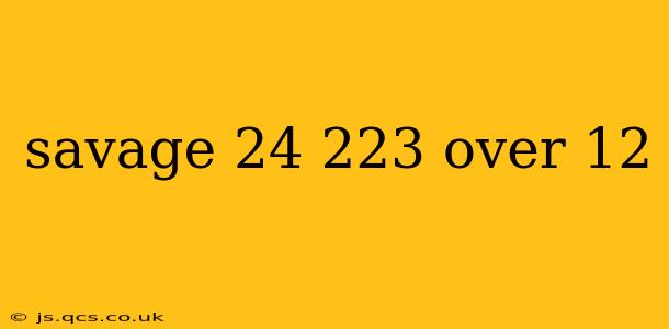 savage 24 223 over 12