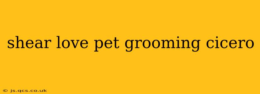 shear love pet grooming cicero