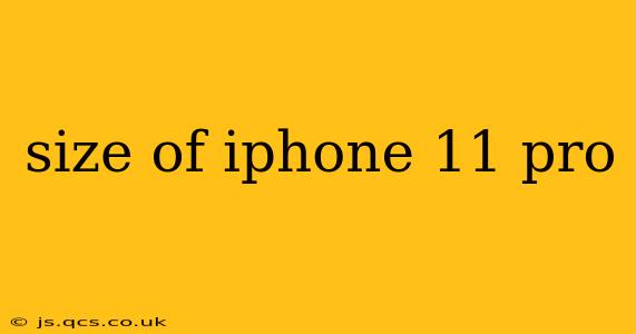 size of iphone 11 pro
