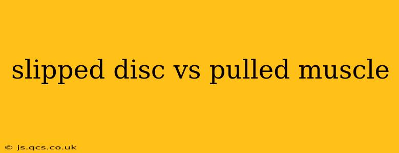 slipped disc vs pulled muscle