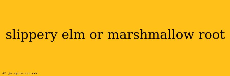 slippery elm or marshmallow root