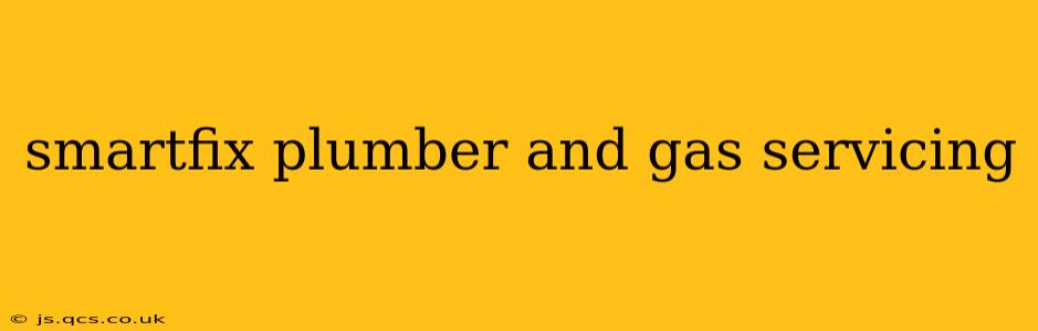 smartfix plumber and gas servicing