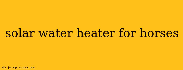 solar water heater for horses
