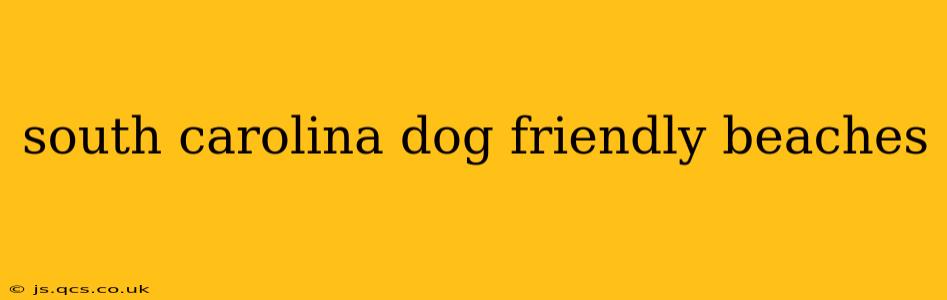 south carolina dog friendly beaches