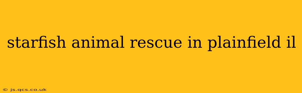 starfish animal rescue in plainfield il