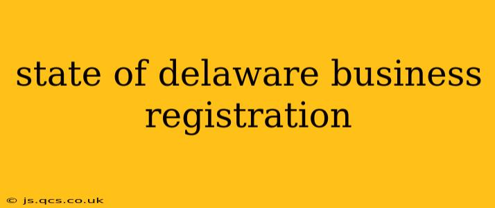 state of delaware business registration