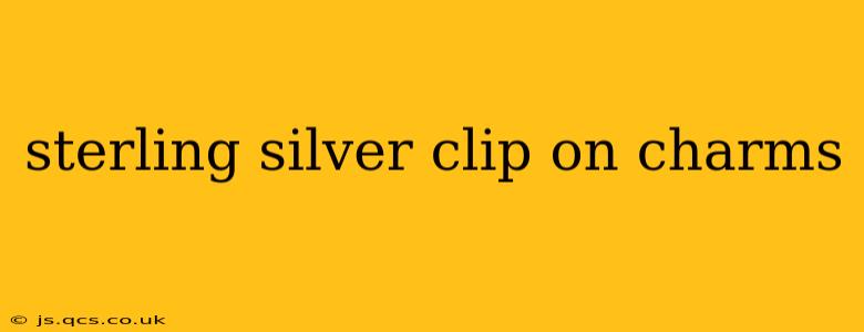 sterling silver clip on charms