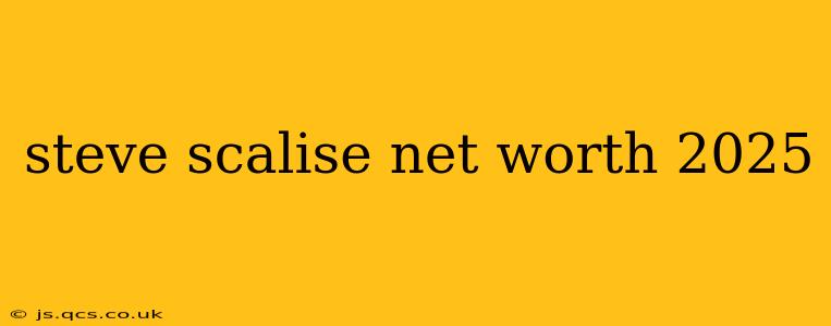 steve scalise net worth 2025