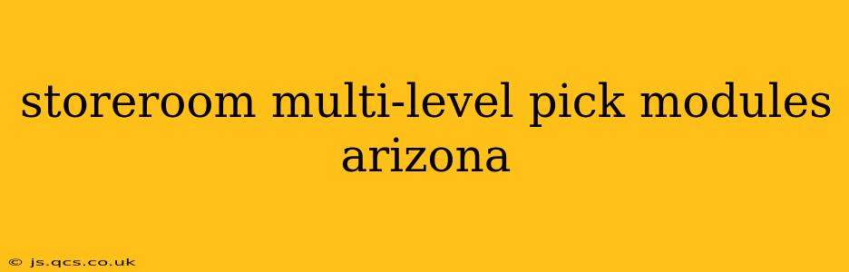 storeroom multi-level pick modules arizona