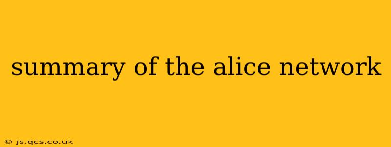 summary of the alice network
