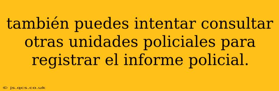 también puedes intentar consultar otras unidades policiales para registrar el informe policial.