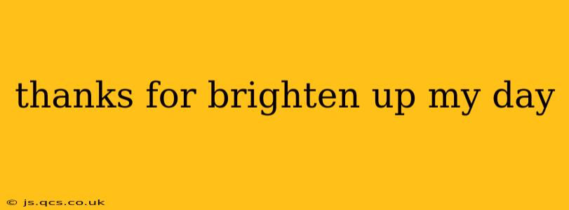 thanks for brighten up my day thanks for brighten up my day