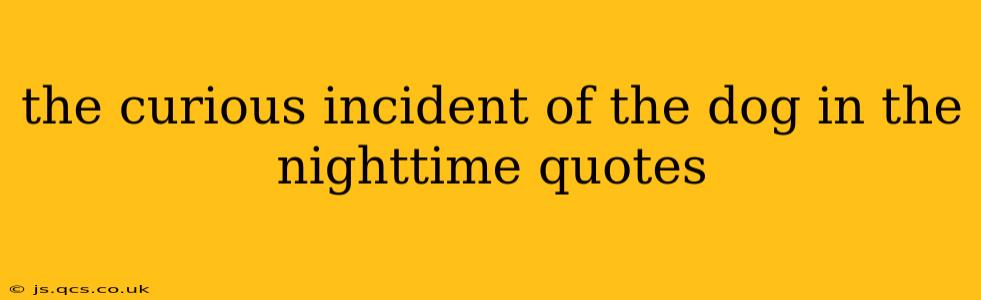 the curious incident of the dog in the nighttime quotes