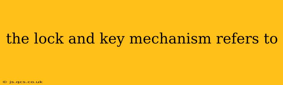 the lock and key mechanism refers to