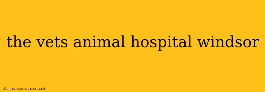 the vets animal hospital windsor