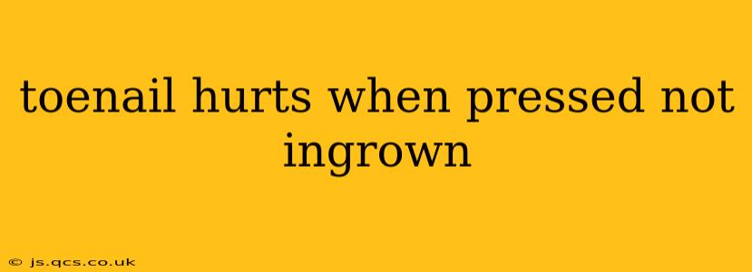 toenail hurts when pressed not ingrown