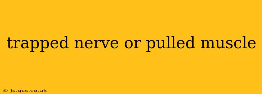 trapped nerve or pulled muscle