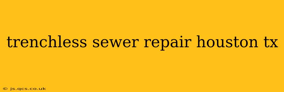trenchless sewer repair houston tx