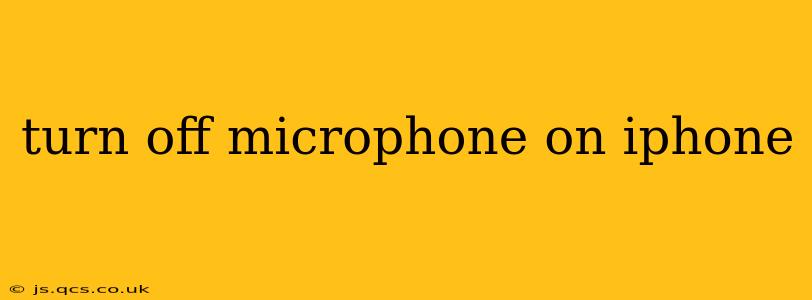 turn off microphone on iphone