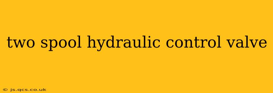 two spool hydraulic control valve