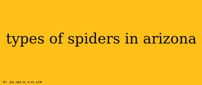 types of spiders in arizona