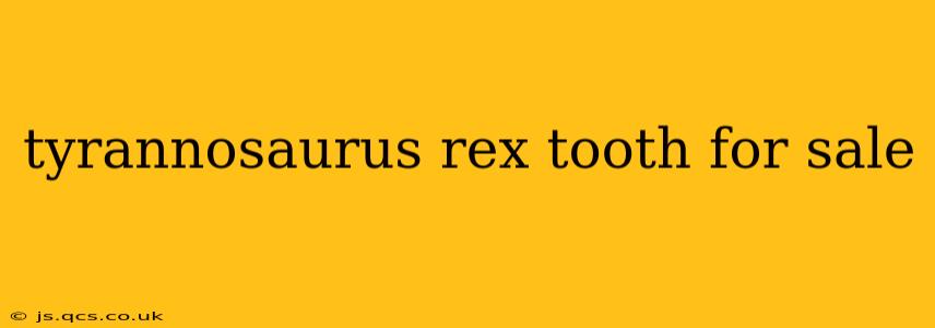 tyrannosaurus rex tooth for sale