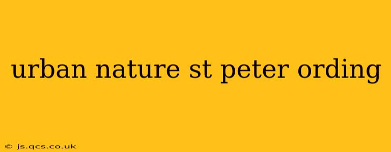 urban nature st peter ording