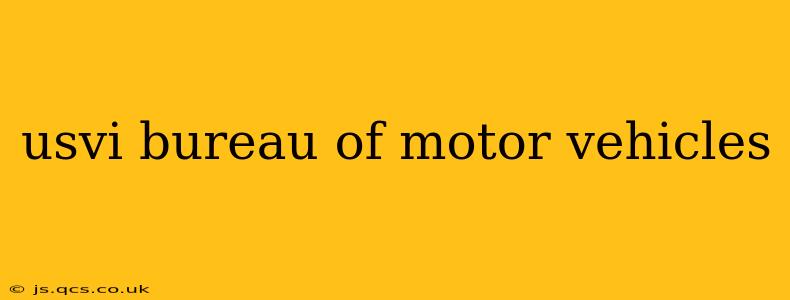 usvi bureau of motor vehicles