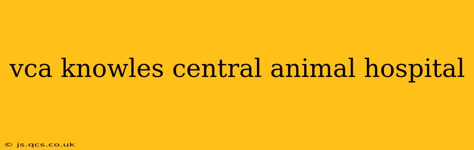vca knowles central animal hospital