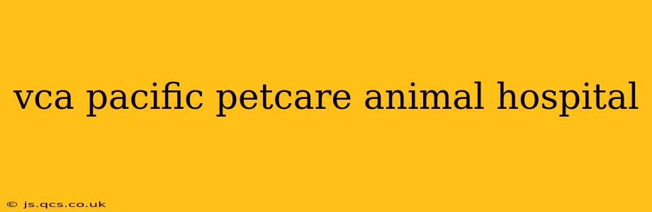 vca pacific petcare animal hospital