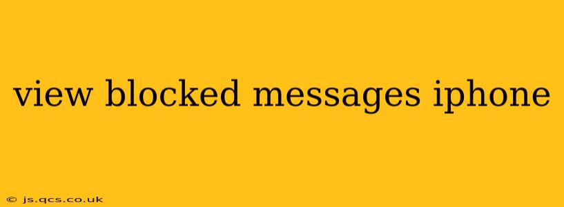 view blocked messages iphone