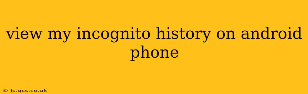 view my incognito history on android phone