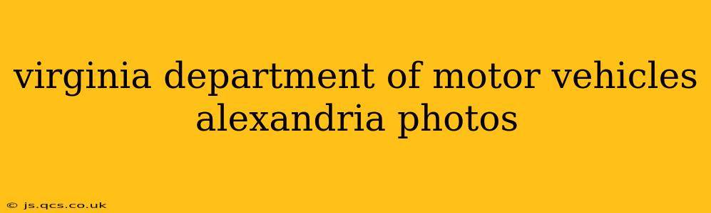 virginia department of motor vehicles alexandria photos