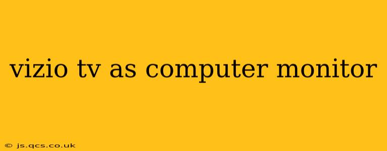 vizio tv as computer monitor