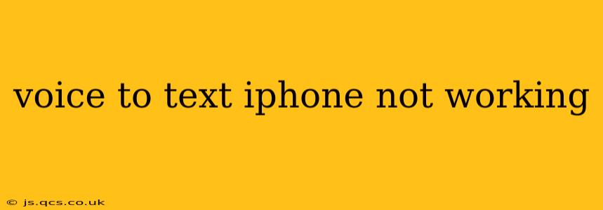 voice to text iphone not working