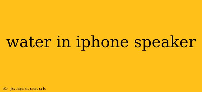 water in iphone speaker