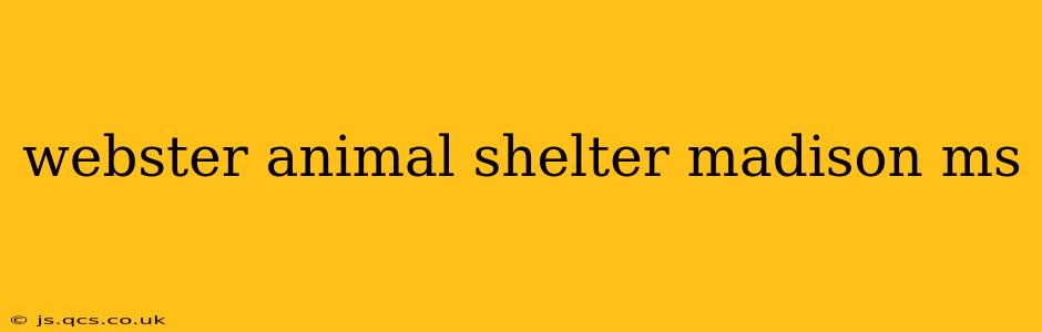 webster animal shelter madison ms