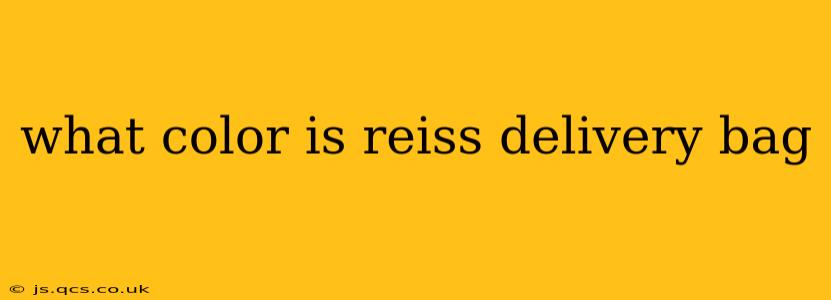 what color is reiss delivery bag