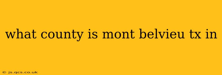 what county is mont belvieu tx in
