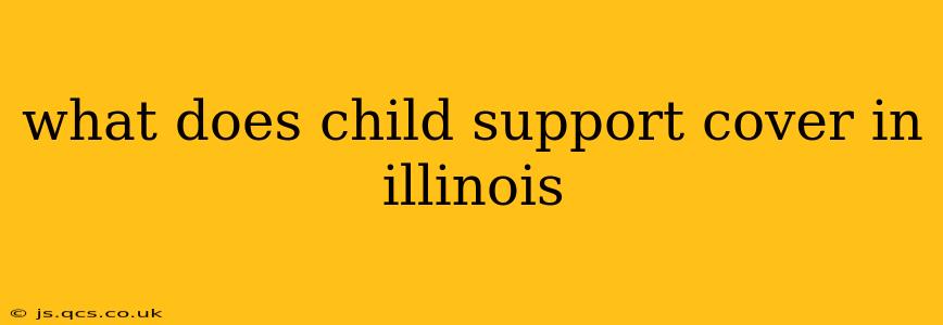 what does child support cover in illinois
