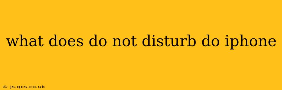 what does do not disturb do iphone