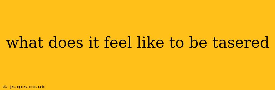 what does it feel like to be tasered