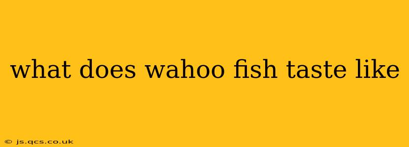 what does wahoo fish taste like