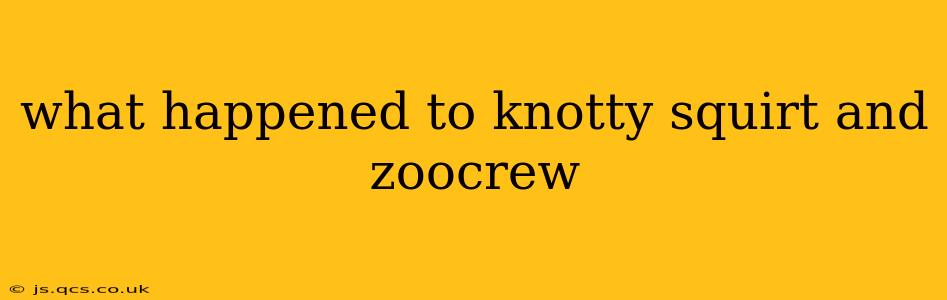 what happened to knotty squirt and zoocrew
