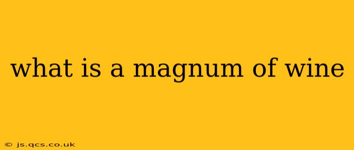 what is a magnum of wine